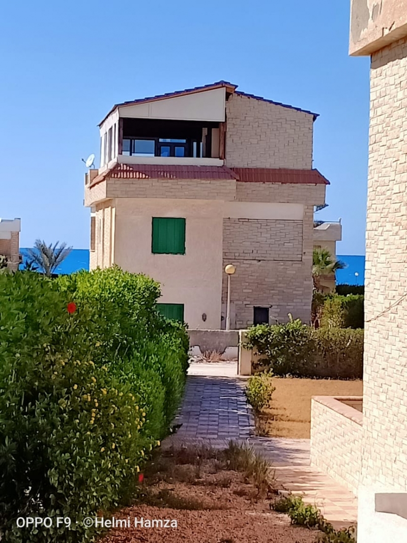 شالية بقرية الروضة  متر² دور ارضى بحديقة